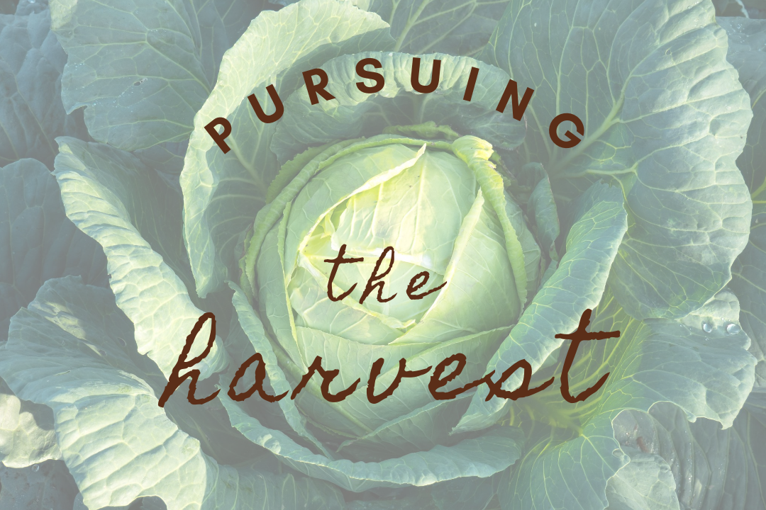 The Heart of the Harvester